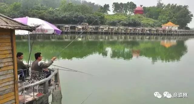 分享一个小故事