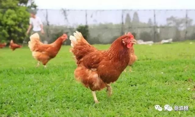 分享一个小故事