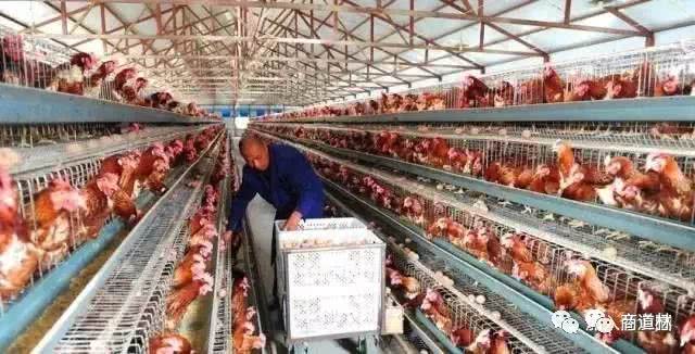 分享一个小故事