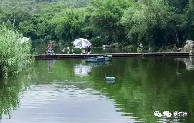 分享一个小故事