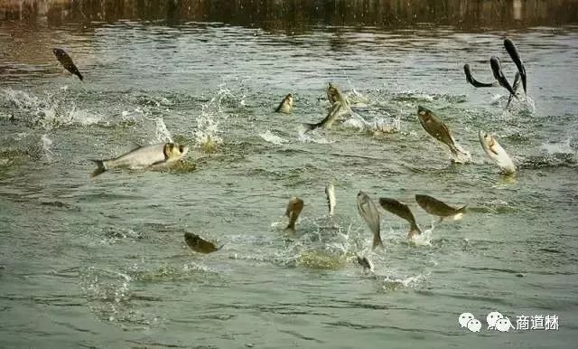 分享一个小故事