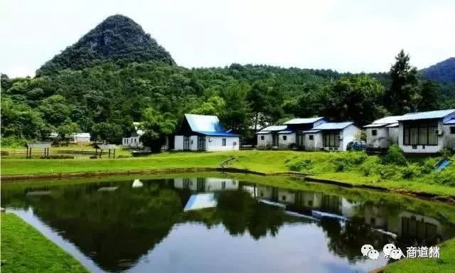 分享一个小故事