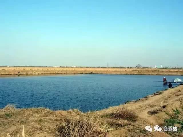 分享一个小故事