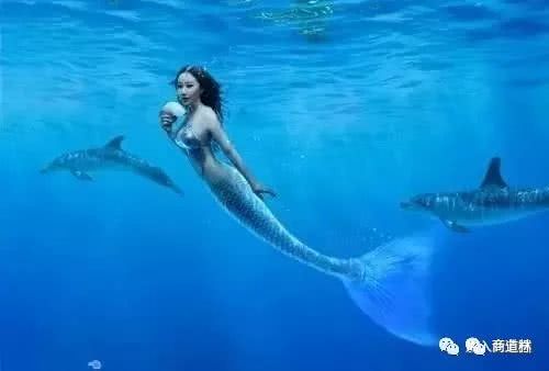 分享一个小故事