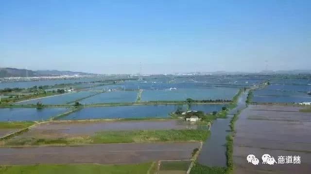 分享一个小故事