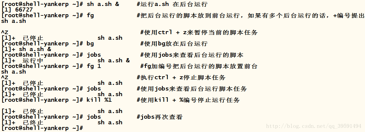Shell编程之while&until循环详解