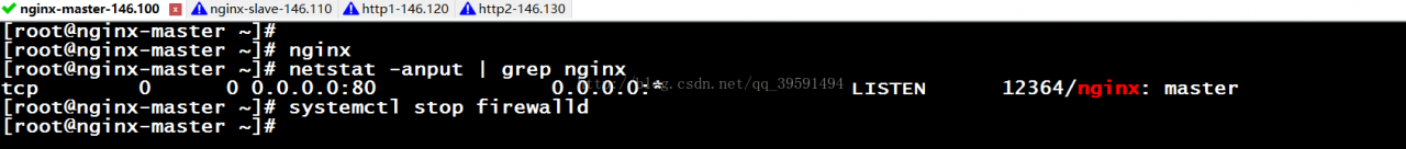 keepalived实现高可用nginx反向代理（Web集群）