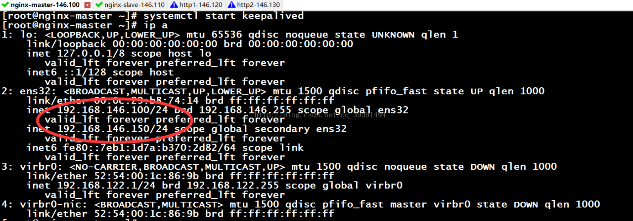 keepalived实现高可用nginx反向代理（Web集群）