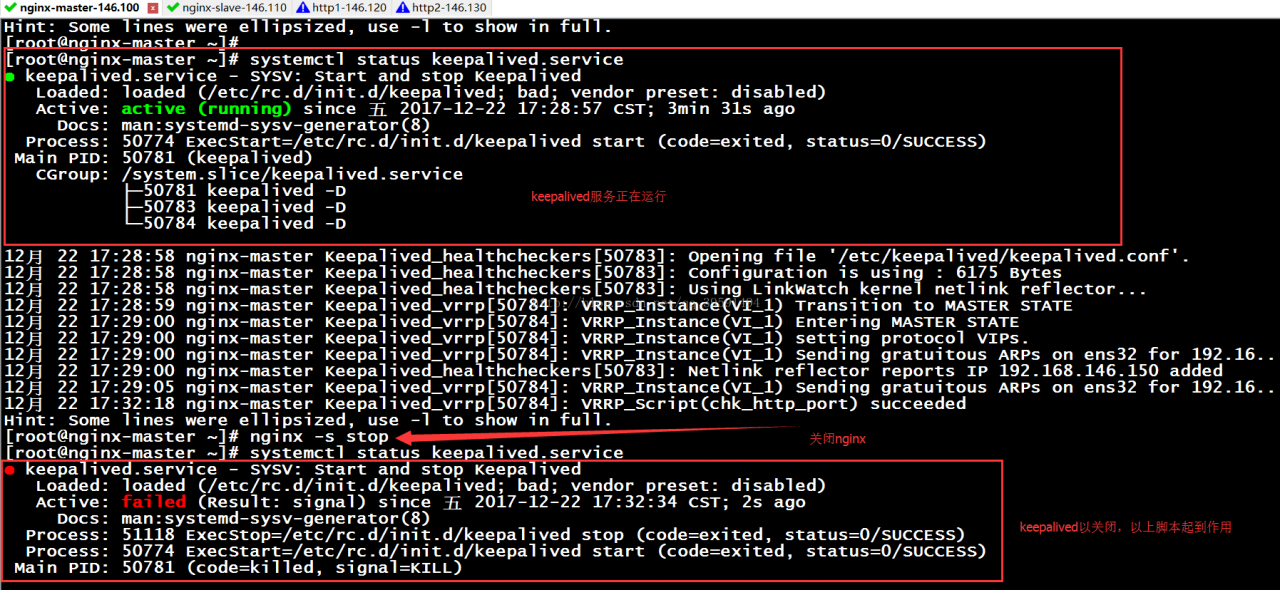 keepalived实现高可用nginx反向代理（Web集群）