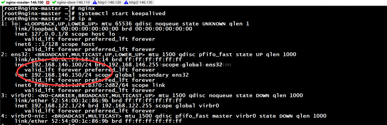 keepalived实现高可用nginx反向代理（Web集群）