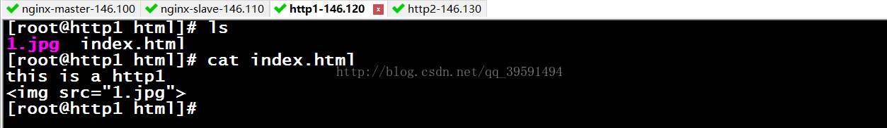 keepalived实现高可用nginx反向代理（Web集群）