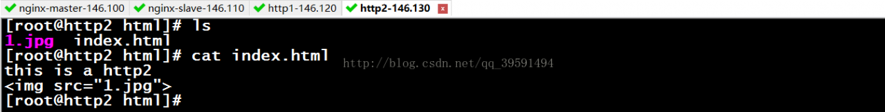 keepalived实现高可用nginx反向代理（Web集群）