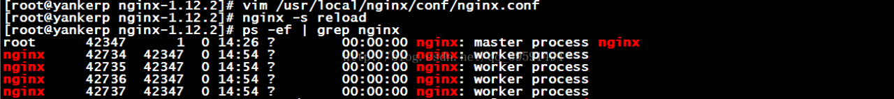 Centos7.4安装Nginx及优化（一）