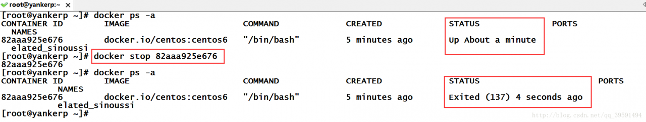学习笔记-Docker基础命令