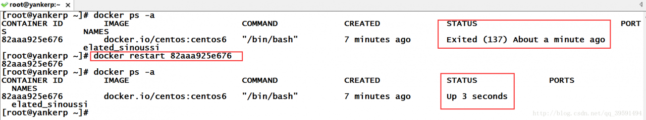 学习笔记-Docker基础命令