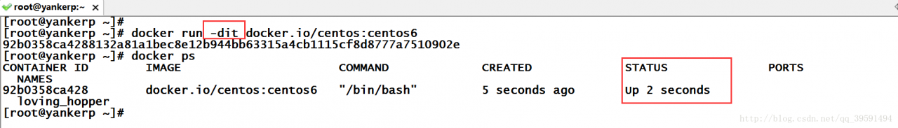 学习笔记-Docker基础命令
