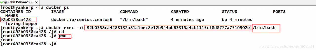学习笔记-Docker基础命令