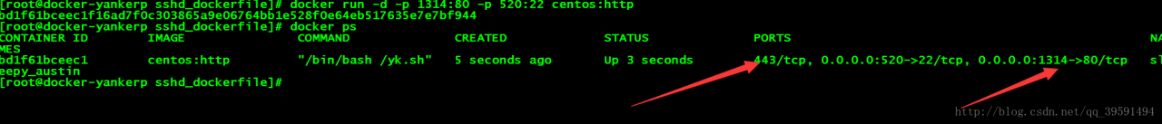 Docker技术剖析Docker网络配置