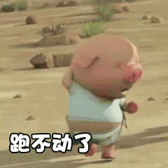 抖音小猪跑步减肥gif全套表情包 抖音小猪跑步表情包可爱动态图 抖音小猪跑步减肥gif全套表情包 抖音小猪跑步表情包可爱动态图