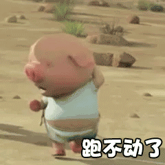 抖音小猪跑步减肥gif全套表情包 抖音小猪跑步表情包可爱动态图 抖音小猪跑步减肥gif全套表情包 抖音小猪跑步表情包可爱动态图