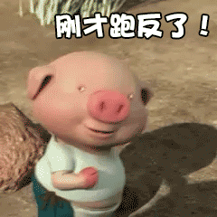 抖音小猪跑步减肥gif全套表情包 抖音小猪跑步表情包可爱动态图 抖音小猪跑步减肥gif全套表情包 抖音小猪跑步表情包可爱动态图